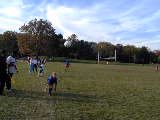 Click to see PA140065.JPG